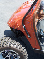 Liza Stripes for Mega Star Radical Randy! Florida