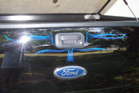 Liza Stripes Fords in Dunedin Florida